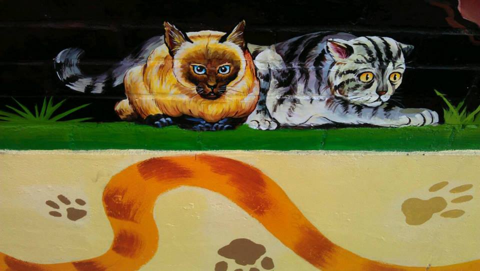 cat
