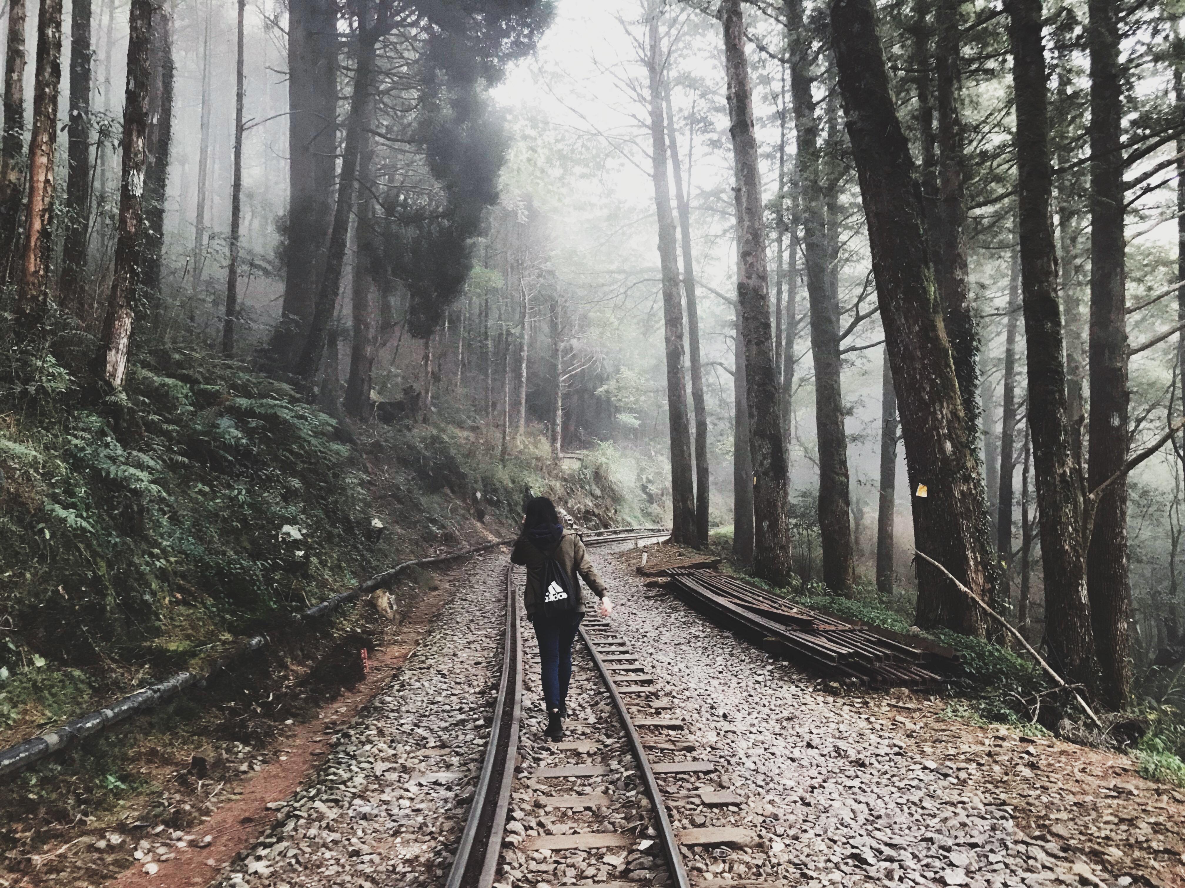 Alishan Hiking Trail